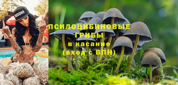 Альфа ПВП Медвежьегорск