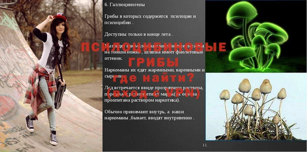 2c-b Мегион