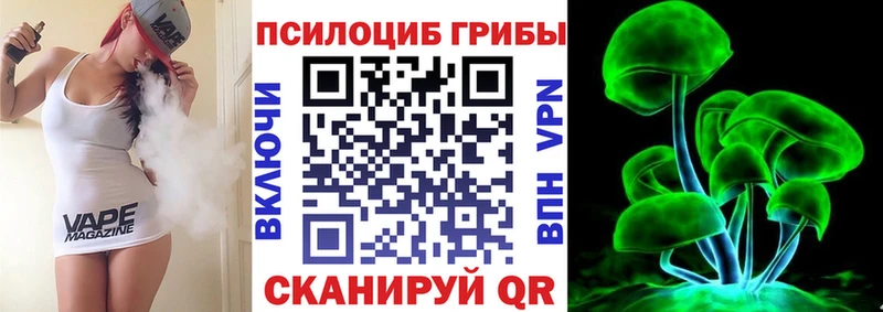 Галлюциногенные грибы Psilocybe  Купить закладки  Владимир 