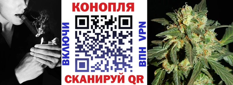 Канабис OG Kush  Купить  Владимир 